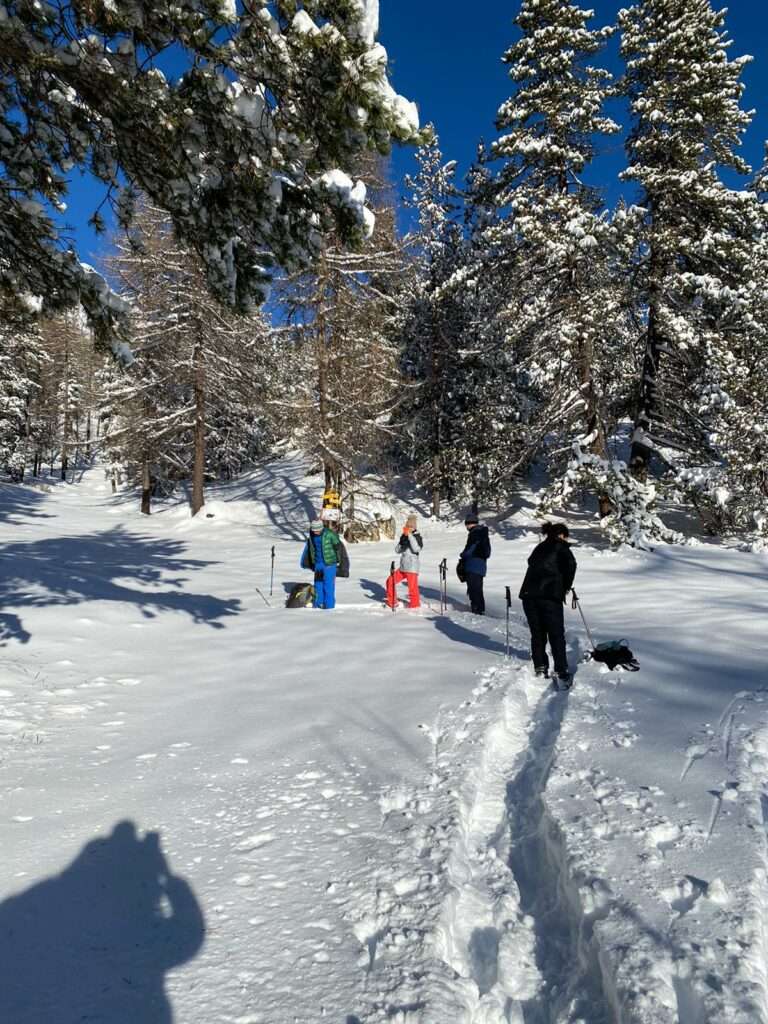 balade bois de sestrières en raquettes